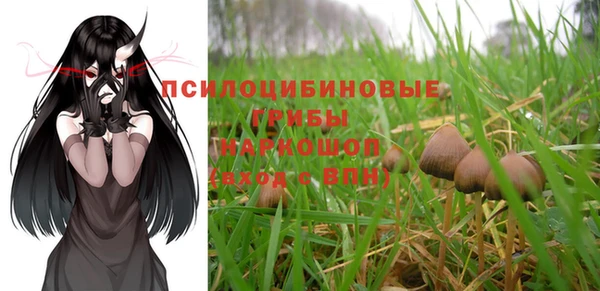 прущие крисы Зеленодольск