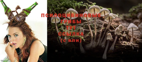 прущие крисы Зеленодольск