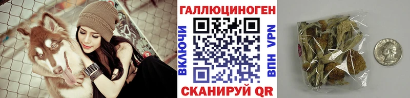 наркошоп  Домодедово  Псилоцибиновые грибы Psilocybe 