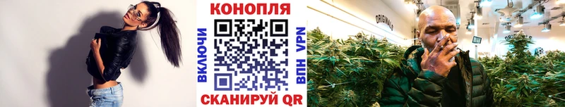 Бошки Шишки ГИДРОПОН Домодедово